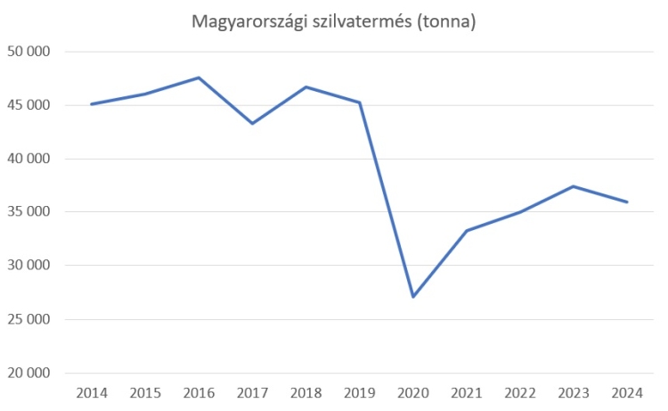 magyar szilva termés