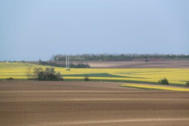 mezőgazdaság