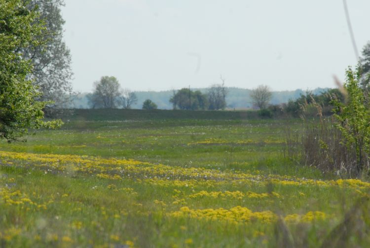 Érkeznek a Natura-gyepekre járó kifizetések