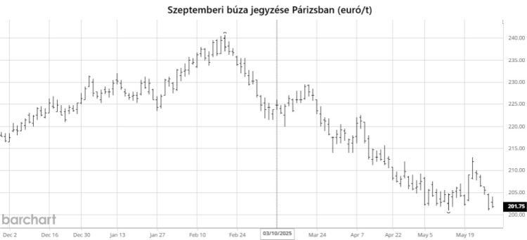 szeptemberi búza jegyzése