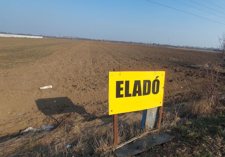 föld eladó
