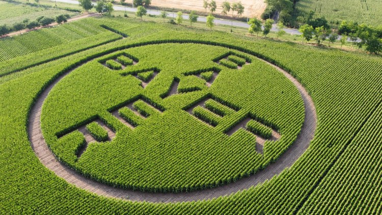 Bayer