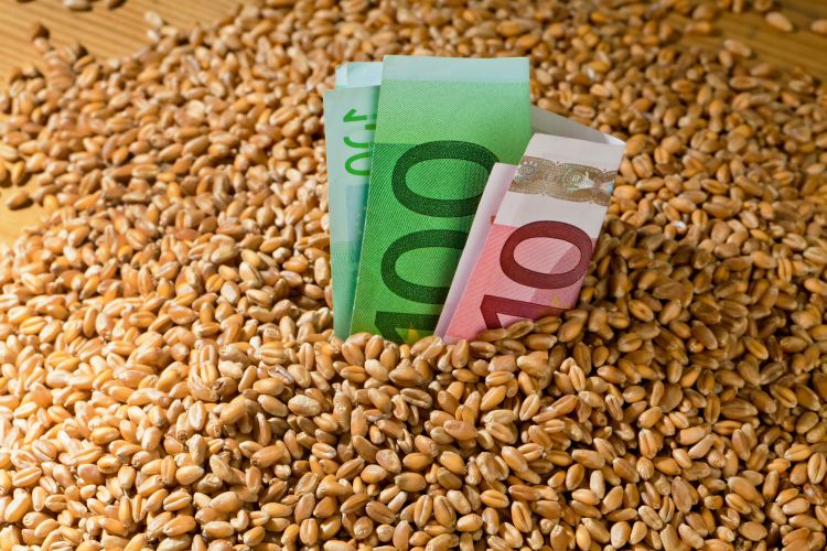 Közös Agrárpolitika támogatás