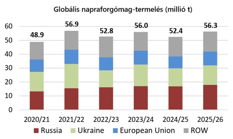 globális napraforgó termelés