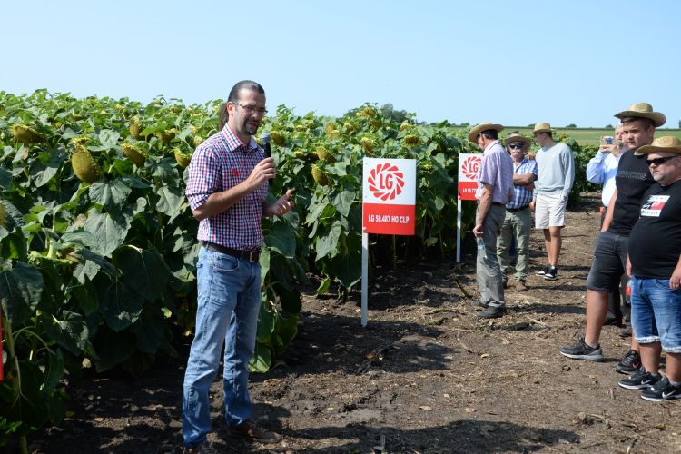Dr. Szűcs Péter, a Limagrain Hungária Kft. fejlesztési vezetője
