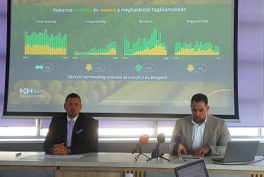 Hollósi Dávid Héjja Csaba MBH