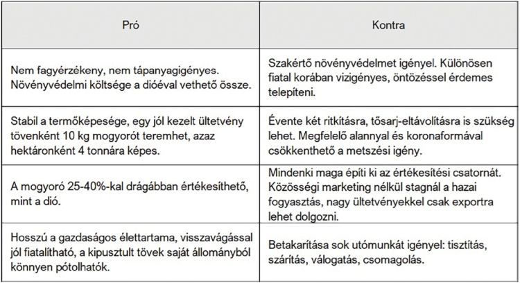 pro és kontra mogyoró