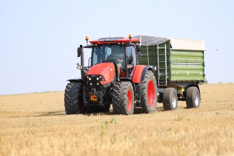 Zetor