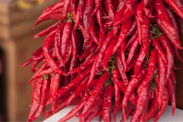 paprika
