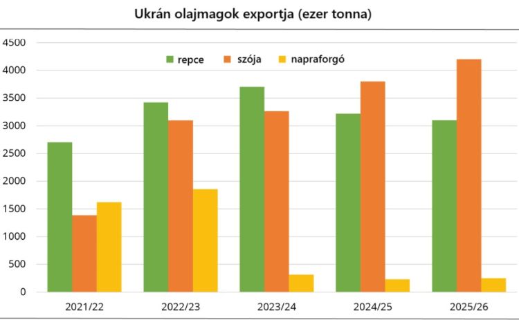 ukrán olajmagexport