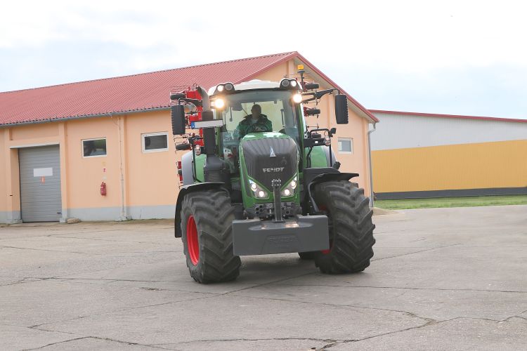 nagyon fontos a megfelelő arány megtalálása