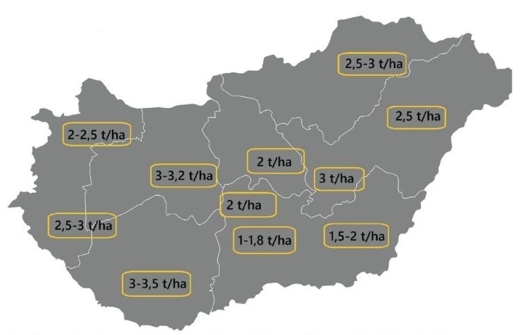 becsült napraforgóhozamok 2025