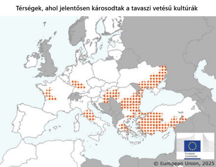 EU tavaszi vetések állapota