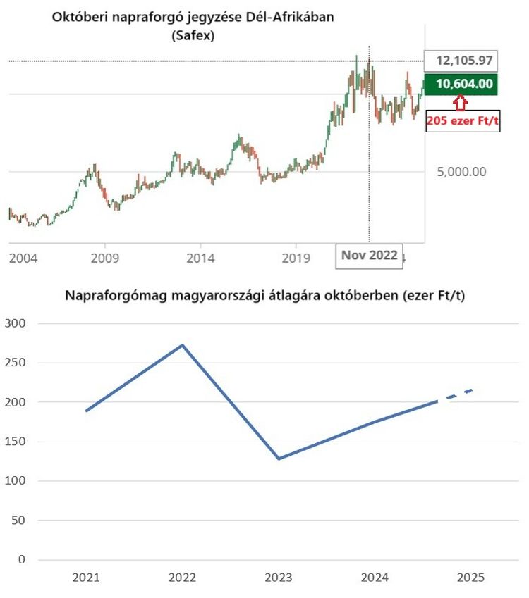 napraforgó ára