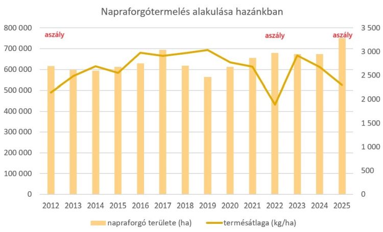 napraforgótermelés alakulása hazánkban