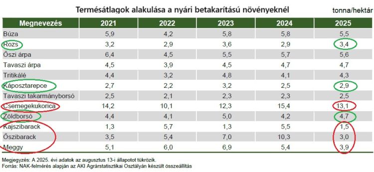 nyári aratás termésátlagok