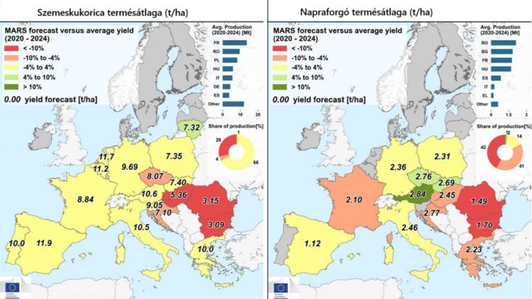 termésátlagok EU
