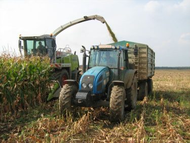 silokukorica szecskazasa