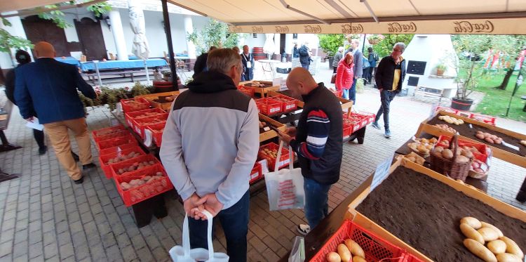 Visszaesés, de sikerrecept is van a burgonyaágazatban