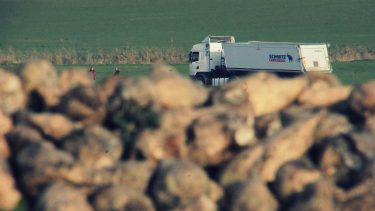 kamion sofőr cukorrépa tábla