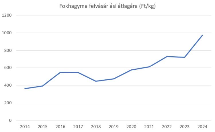 fokhagyma ára