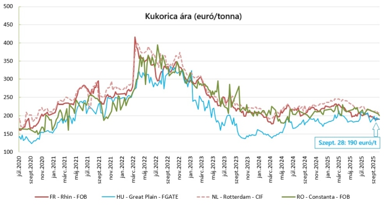 kukorica ára