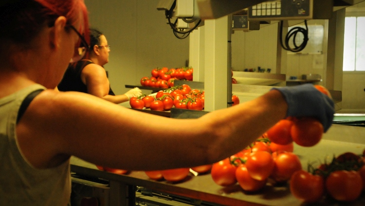 Pár nap, és indul a 20 milliárdos élelmiszeripari pályázat