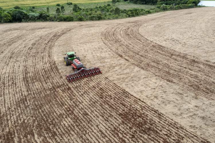 No-till, kukoricavetés Maestróval