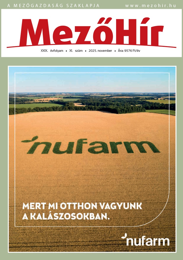 MezőHír – 2025. November
