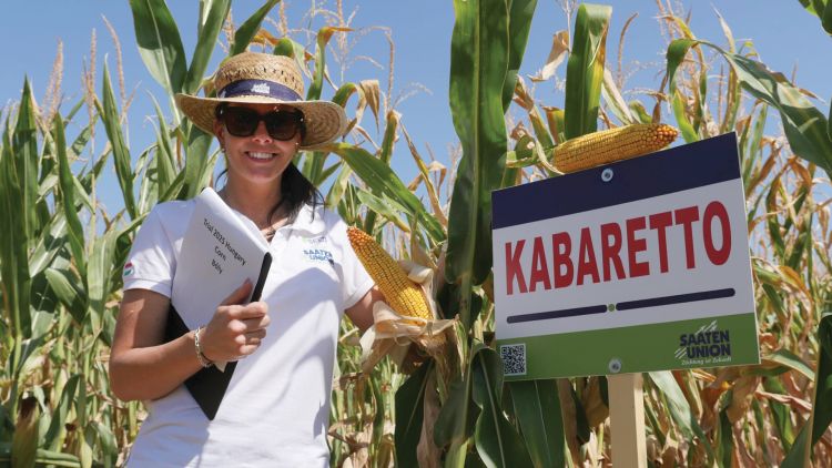 SU Kabaretto kukorica