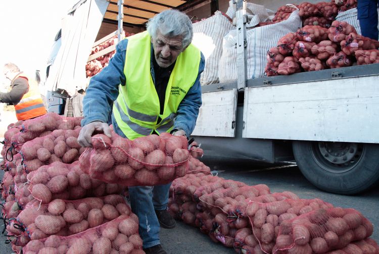 Ellepte a lengyeleket az importkrumpli