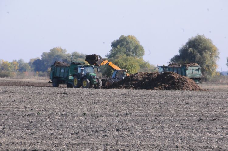 Istállótárgyázás AKG-ban – Így járjon el!