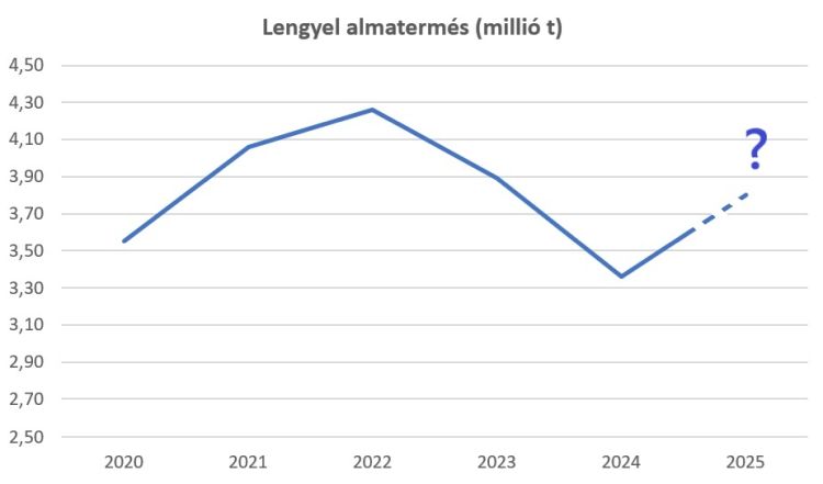 lengyel almatermés