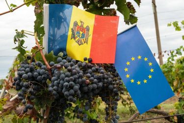 moldáv csemegeszőlő EU