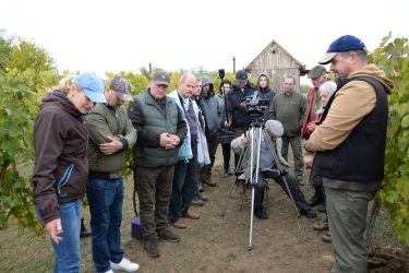 talaj & terrior kampánynap bölcske tomolik pincészet