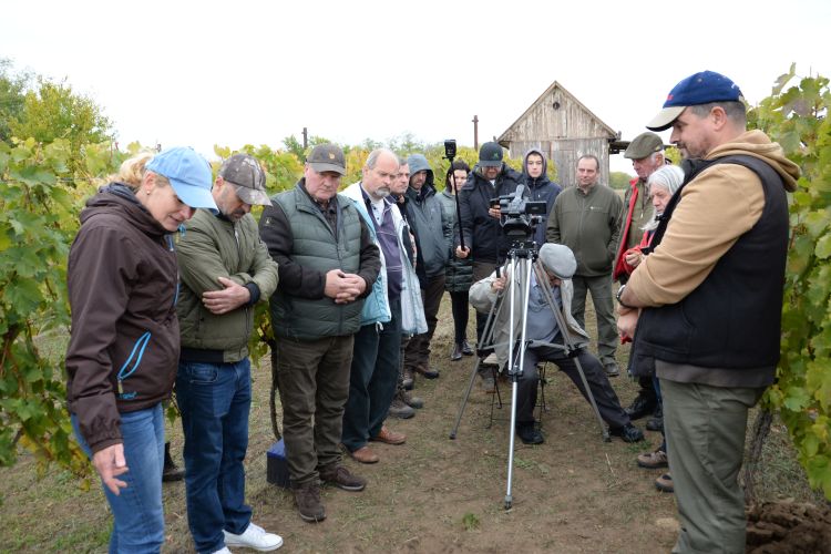 talaj & terrior kampánynap bölcske tomolik pincészet