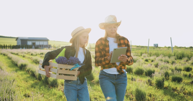 AKG: az első év zárása