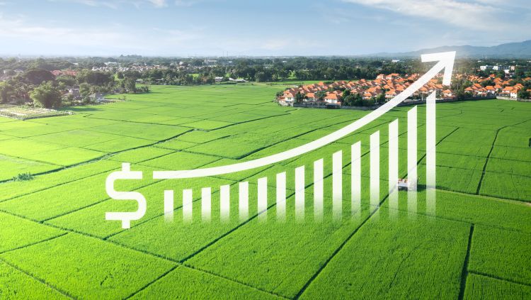 Tovább drágul a tápanyag-utánpótlás a hazai mezőgazdaságban