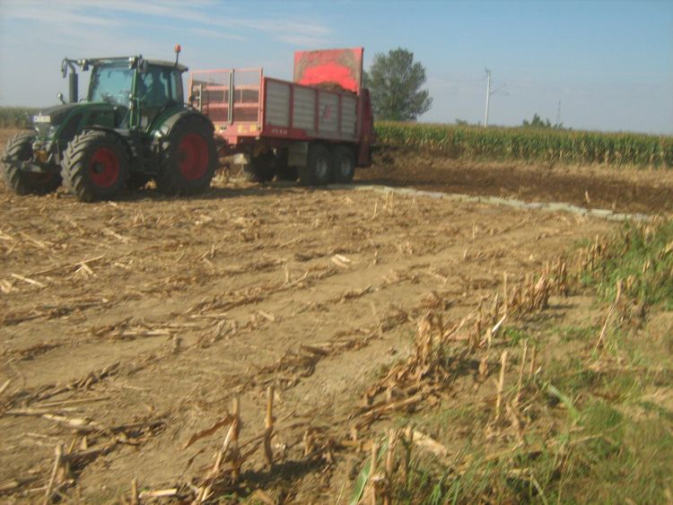 A szerves trágyákat az agrotechnikai követelményeknek megfelelő egyenleteséggel kell kijuttatni (fotók: a szerző felvételei)