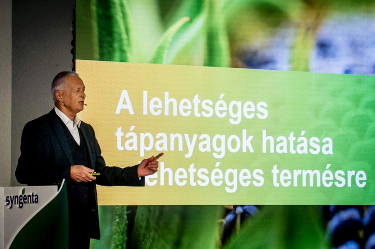Szeleczki Attila (Syngenta)