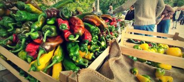 Biozöldség-eladópult piacon