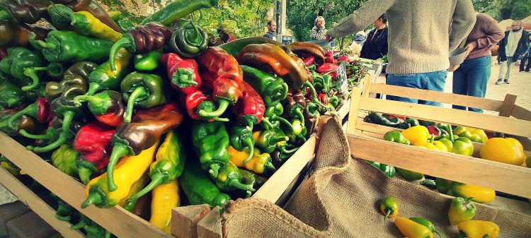 Biozöldség-eladópult piacon