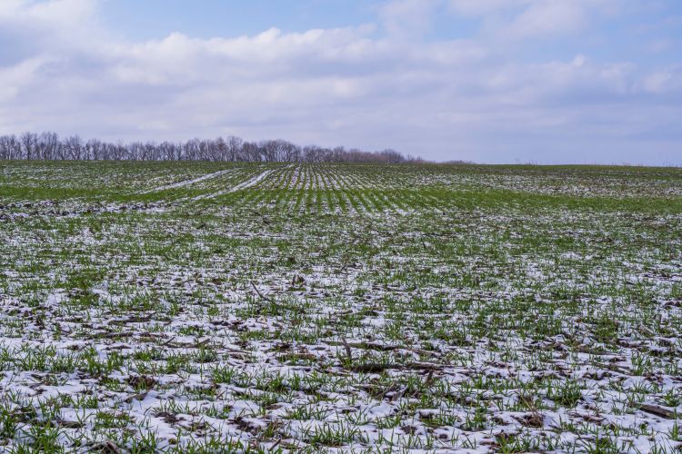 kevesebb növényvédőszer-felhasználás