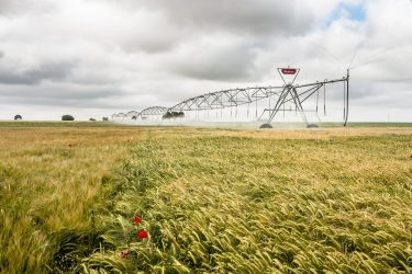 Western Irrigation öntözőrendszer