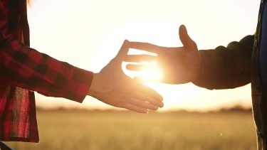 agrárium szerződés üzletkötés föld