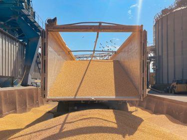 búza szállítás raktár