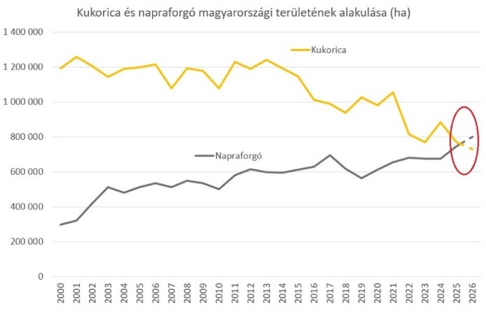 EU napraforgó termelés