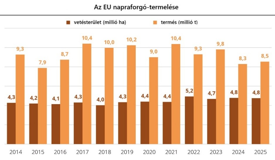 EU napraforgó termelés