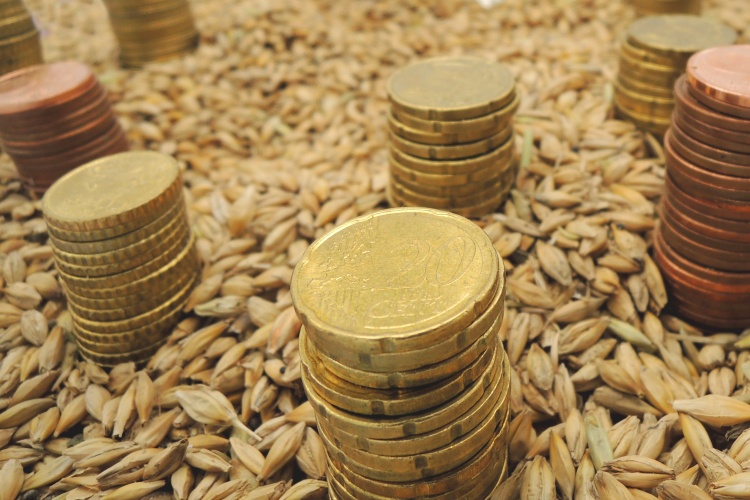 Olcsóbb hitel a pályázatokhoz: így működik a kamattámogatás