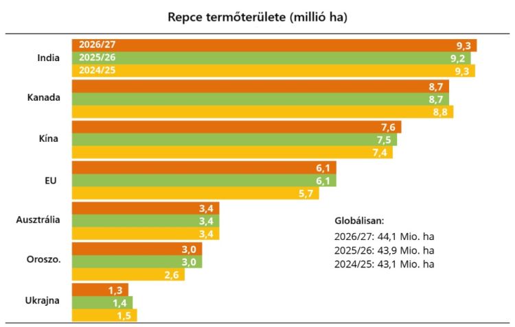 Repce globális termőterülete